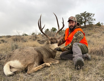 Sns Mule Deer Wyoming Montana 2025 9.jpg